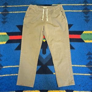 Marine Layer Saturday Organic Pant in Deep Lichen (XL)